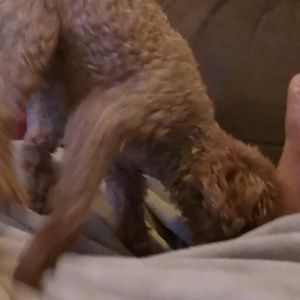 Meet your Posher, Mikayla